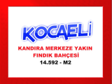 kocaeli kandıra da istanbul a en yakın konumdaki 14.592 m2 fındık bahçesi reel fiyatla