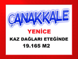 çanakkale yenice de 19.165 m2 kaz dağlarının eteğinde lokasyonu iyi yatırımlık arsa