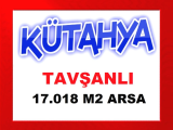 kütahya tavşanlı 17.019 m2 köye 1 km mesafede kıymetli arazi