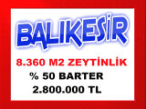 balıkesir burhaniye de 8.360 m2 verimli zeytinlik arsası